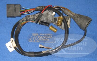 Kabelbaum Verkleidung Voltmeter Uhr