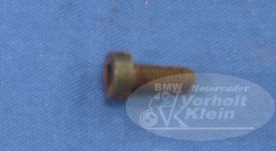 BMW R80/100 R80/100 RT 1980 bis 1984 Schraube