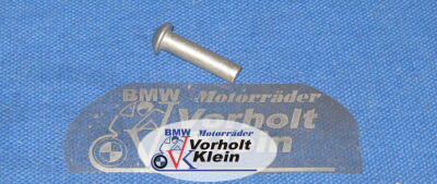 Nieten für Radmitnehmer in 5 mm