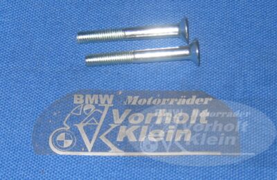 Linsenschraube für Schloßkasten